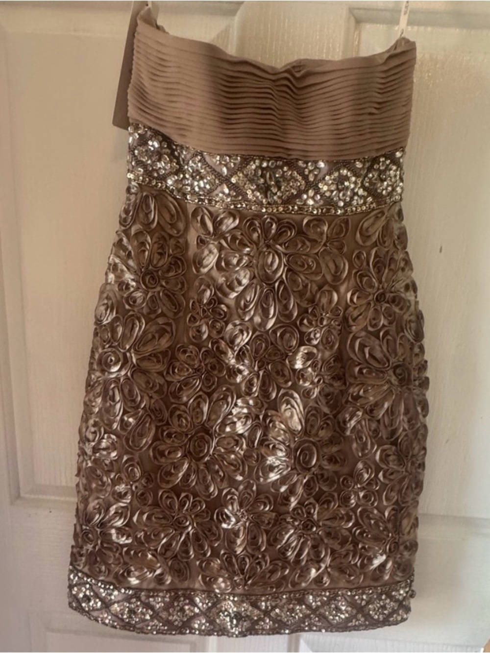 NWT Sue Wong Embelleshed Strapless Dress
